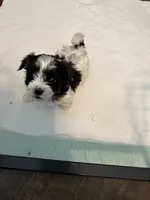 processed/8e32ea02-98fc-41e3-af30-a273ce23bec4/listing/ebda5a5e-1264-44e1-88e3-59190bda03ba/a2ea6f2c-4cdb-461c-b099-ea7e76818e92