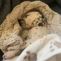 processed/8e34a95c-2a5e-4521-a5dd-b8e261c49a15/facility/62695104-9597-41a2-a16f-89fdf7f37945