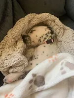 processed/8e34a95c-2a5e-4521-a5dd-b8e261c49a15/facility/62695104-9597-41a2-a16f-89fdf7f37945