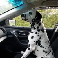 processed/8e34a95c-2a5e-4521-a5dd-b8e261c49a15/facility/72ab62e3-3a97-44a9-8e76-ccb8f4e4a023