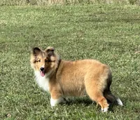 processed/8e3bfcd3-e778-4331-9db4-8c31ac5154d8/listing/7ea20e97-7ffe-41e5-b3a3-47b5b0d45e7b/00d80f0f-47b0-4502-a37a-f63fdc08b128