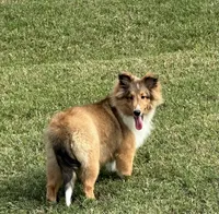 processed/8e3bfcd3-e778-4331-9db4-8c31ac5154d8/listing/7ea20e97-7ffe-41e5-b3a3-47b5b0d45e7b/2b2d66e7-945a-4855-a2af-d56bcf2cf2e9