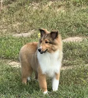 processed/8e3bfcd3-e778-4331-9db4-8c31ac5154d8/listing/7ea20e97-7ffe-41e5-b3a3-47b5b0d45e7b/bea6d1ec-4a7a-4979-8c05-9fc23872464e