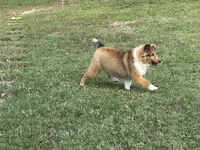 processed/8e3bfcd3-e778-4331-9db4-8c31ac5154d8/listing/7ea20e97-7ffe-41e5-b3a3-47b5b0d45e7b/e8a9347d-4734-4e37-ae9b-5a9813b42ef0