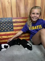 processed/8e3d8cae-4ec4-43ce-8f05-0bde63c78d48/facility/80f5a000-6489-4342-806c-424ff2ac9340