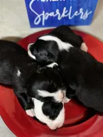 processed/8e3d8cae-4ec4-43ce-8f05-0bde63c78d48/facility/e1ff25cc-b7e7-4877-9793-10572d2c17a7