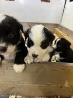 processed/8e3d8cae-4ec4-43ce-8f05-0bde63c78d48/facility/f279642c-5668-4735-a123-ab8c060e7a76