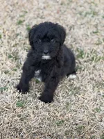 processed/8e3d8cae-4ec4-43ce-8f05-0bde63c78d48/listing/6d2c107d-5580-4d6e-b903-2825793e93af/338cb78d-94b4-4a09-8c51-611e9d24963c