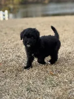 processed/8e3d8cae-4ec4-43ce-8f05-0bde63c78d48/listing/6d2c107d-5580-4d6e-b903-2825793e93af/4671388e-75e0-4665-819b-f3cafc7ff869