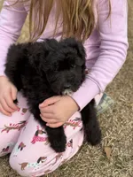 processed/8e3d8cae-4ec4-43ce-8f05-0bde63c78d48/listing/6d2c107d-5580-4d6e-b903-2825793e93af/525f77a0-b82b-4bb3-85bc-21ff40ce9d9c