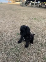 processed/8e3d8cae-4ec4-43ce-8f05-0bde63c78d48/listing/6d2c107d-5580-4d6e-b903-2825793e93af/87d2e26c-a0aa-4d80-9ead-2cb23fea3342