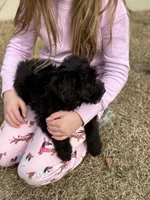 processed/8e3d8cae-4ec4-43ce-8f05-0bde63c78d48/listing/6d2c107d-5580-4d6e-b903-2825793e93af/98088040-d1f9-4e37-be1c-bf86bf768ae0