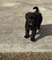 processed/8e3d8cae-4ec4-43ce-8f05-0bde63c78d48/listing/6d2c107d-5580-4d6e-b903-2825793e93af/ab7edd12-f9ed-42e7-9280-b4e8a7559e9d