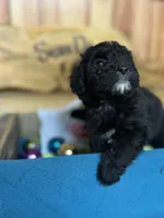 processed/8e3d8cae-4ec4-43ce-8f05-0bde63c78d48/listing/6d2c107d-5580-4d6e-b903-2825793e93af/cac71cf3-b9f3-46b5-a43b-4bfb1505f9fa