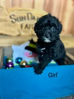 processed/8e3d8cae-4ec4-43ce-8f05-0bde63c78d48/listing/6d2c107d-5580-4d6e-b903-2825793e93af/e9d84edd-438c-4174-bf77-f0dcc2039217