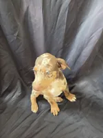 Ember, a female Doberman Pinscher for sale in Charlotte, NC – 3 of 3
