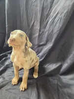 Titan, a male Doberman Pinscher for sale in Charlotte, NC – 2 of 6