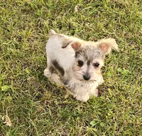 processed/8e609733-3ab7-4a6f-a132-4e6828f9d5c0/listing/b68855ad-ee42-48ca-bc7c-8a1d0234a825/391f0b9b-b435-4911-bf73-23df76e35211