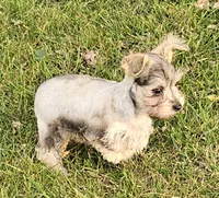 processed/8e609733-3ab7-4a6f-a132-4e6828f9d5c0/listing/b68855ad-ee42-48ca-bc7c-8a1d0234a825/3a74c13a-0e5a-44f3-a74f-637017ee7d1e