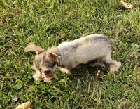 processed/8e609733-3ab7-4a6f-a132-4e6828f9d5c0/listing/b68855ad-ee42-48ca-bc7c-8a1d0234a825/562a7b6b-db77-40ea-8f65-4e055a308f2d