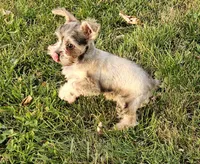 processed/8e609733-3ab7-4a6f-a132-4e6828f9d5c0/listing/b68855ad-ee42-48ca-bc7c-8a1d0234a825/a1207377-b8a9-46fd-a0c5-f27e351c866d