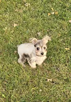 processed/8e609733-3ab7-4a6f-a132-4e6828f9d5c0/listing/b68855ad-ee42-48ca-bc7c-8a1d0234a825/a426029f-3c34-4558-ab65-f29cc731b0a4