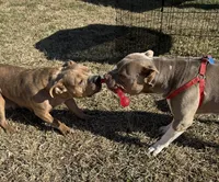 processed/8e6428da-6b68-4813-9d41-1fa35ccac5ab/facility/23fbfdee-1f69-41e6-bdb7-cd7da2925e16