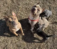 processed/8e6428da-6b68-4813-9d41-1fa35ccac5ab/facility/58718486-e26a-4f69-ac52-07f9747c28c0