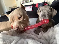 processed/8e6428da-6b68-4813-9d41-1fa35ccac5ab/facility/692c0e07-2817-4beb-87dc-14bcca30c237