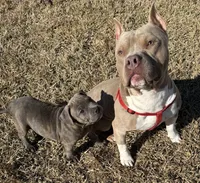 processed/8e6428da-6b68-4813-9d41-1fa35ccac5ab/facility/6cb7c489-be54-4d35-93a7-4c856f6c7212