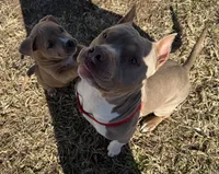 processed/8e6428da-6b68-4813-9d41-1fa35ccac5ab/facility/9514281d-4fd6-4d90-bc98-a77f07e530b4