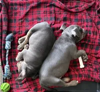 processed/8e6428da-6b68-4813-9d41-1fa35ccac5ab/facility/a6ad7204-d8ad-4478-a394-6f75c9148187