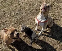 processed/8e6428da-6b68-4813-9d41-1fa35ccac5ab/facility/d7d36a22-be37-4f95-94ee-c1c71e0327aa