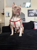 processed/8e6428da-6b68-4813-9d41-1fa35ccac5ab/facility/ea598f7b-5c96-456f-80fa-a292e2fe1e05