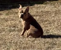 processed/8e6428da-6b68-4813-9d41-1fa35ccac5ab/listing/8a1b1df8-7ac8-4e07-b35a-8e808be97e05/087e05fb-0a0a-4e93-8f7b-b44ae57d8dc3