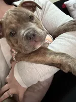 processed/8e6428da-6b68-4813-9d41-1fa35ccac5ab/listing/8a1b1df8-7ac8-4e07-b35a-8e808be97e05/332be243-a428-4129-91b3-bee595978240