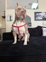 processed/8e6428da-6b68-4813-9d41-1fa35ccac5ab/listing/8a1b1df8-7ac8-4e07-b35a-8e808be97e05/e93d303b-a99a-43c8-bf66-428b0120d730