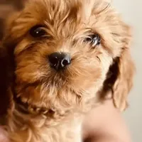 processed/8e6441b6-5098-4f27-be23-faab33fed8b0/facility/0c7d1a2e-e14b-45bc-bc09-0ca7929e3fbd