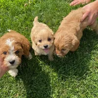 processed/8e6441b6-5098-4f27-be23-faab33fed8b0/facility/10f2d309-3b37-4d09-9566-6982c99ae427