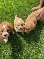 processed/8e6441b6-5098-4f27-be23-faab33fed8b0/facility/10f2d309-3b37-4d09-9566-6982c99ae427