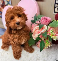 processed/8e6441b6-5098-4f27-be23-faab33fed8b0/listing/2bae6876-3b70-46a8-a618-263fe088e8b9/28f23b19-5052-4278-9651-a53d2b64cd59