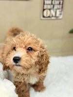 processed/8e6441b6-5098-4f27-be23-faab33fed8b0/listing/750695f3-4ce7-466c-825b-bb9bf5cf24a6/297d07e2-9b1d-4881-bfd8-29d441f02dc6