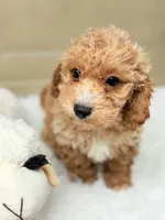 processed/8e6441b6-5098-4f27-be23-faab33fed8b0/listing/750695f3-4ce7-466c-825b-bb9bf5cf24a6/8236ecd8-b073-40b3-b21a-4bccc1b1397d