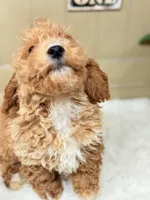 processed/8e6441b6-5098-4f27-be23-faab33fed8b0/listing/750695f3-4ce7-466c-825b-bb9bf5cf24a6/82575a4d-20cc-40d2-a8d1-5612d292634d