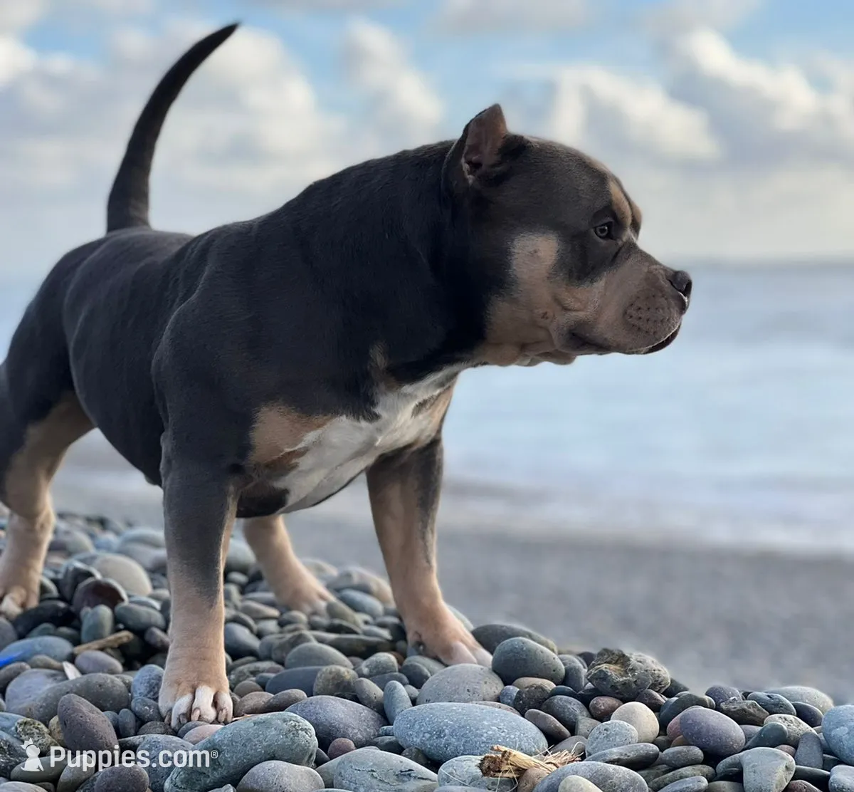 processed/8e652f4d-37c9-49d7-bba0-02c8e300440d/facility/b190b84b-1a8b-4f7c-912e-ea08407da107