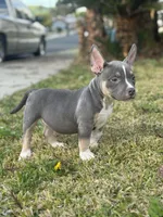 processed/8e652f4d-37c9-49d7-bba0-02c8e300440d/listing/15a2b505-5e22-423f-a660-cf0fb0d3f206/fcbcd81c-551c-4044-a668-6bc36b111fb6