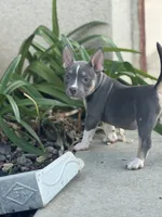 processed/8e652f4d-37c9-49d7-bba0-02c8e300440d/listing/15a2b505-5e22-423f-a660-cf0fb0d3f206/fe4b22ca-1a7d-4e3d-8c44-18ab9fcfe5a1