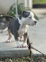 processed/8e652f4d-37c9-49d7-bba0-02c8e300440d/listing/3b2d63ce-1c12-4660-b083-927bc44ae708/9bfd583e-ce32-4f05-8de0-a934a0188ca1