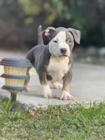 processed/8e652f4d-37c9-49d7-bba0-02c8e300440d/listing/3b2d63ce-1c12-4660-b083-927bc44ae708/ead2ab8e-e02a-4135-9095-faaf62bc3603