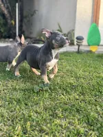 processed/8e652f4d-37c9-49d7-bba0-02c8e300440d/listing/e4b0aa49-8b14-4c13-8117-70614d3534c6/8613fde4-54cd-429b-a680-d7367138bed6